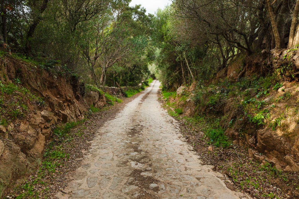 Trekking ed escursioni in Gallura. Ecco cosa fare a Luogosanto